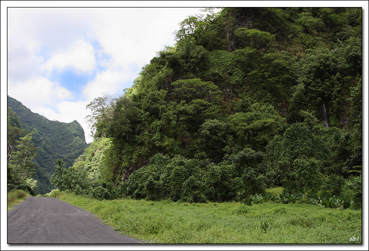 40D11078 cs cadre2.jpg - Tahiti - Vallée de la Papenoo